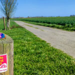 Gästeführung \"Unterwegs auf dem Twuster Padd\"