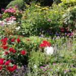 Naturnahe Gartengestaltung wirkt Wunder