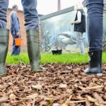 FossilienGrube Twistringen - Ein Fenster zur Urzeit Norddeutschlands