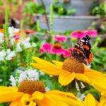 Gästeführung "Krasse Kräuter"