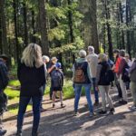 Gästeführung "Feierabendtour Unterwegs rund um das Steller Moor"
