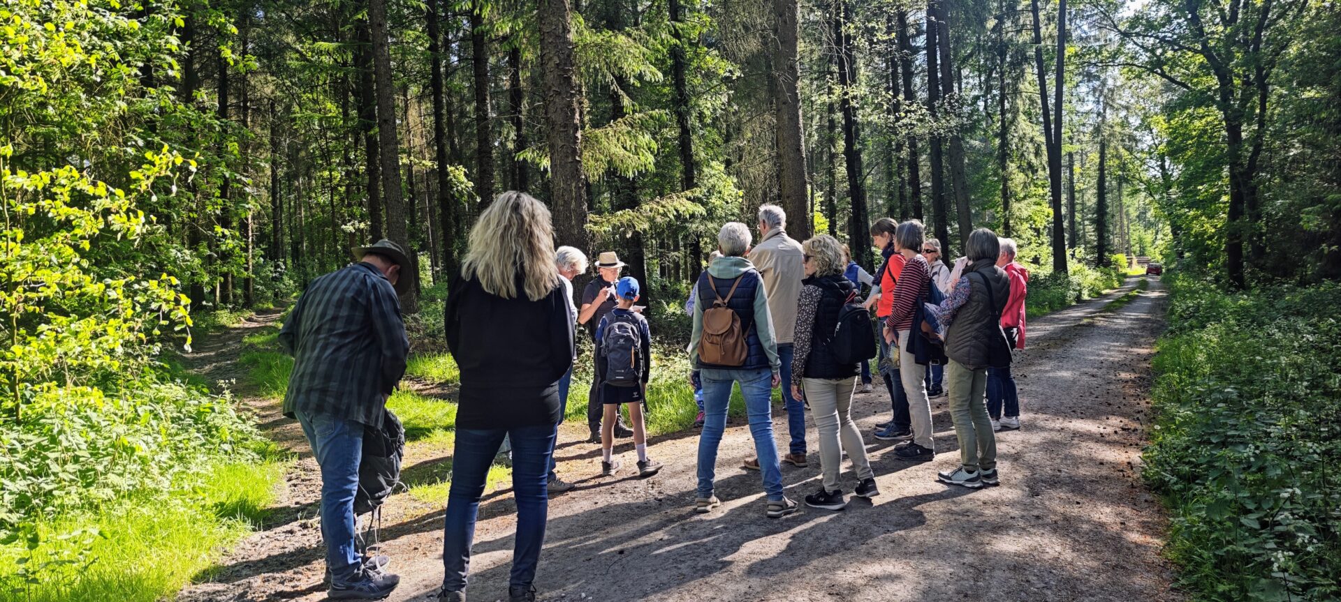 Gästeführung "Feierabendtour Unterwegs rund um das Steller Moor"